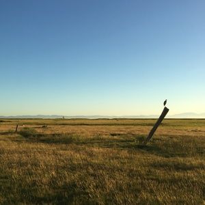 Meet your Posher, Yang